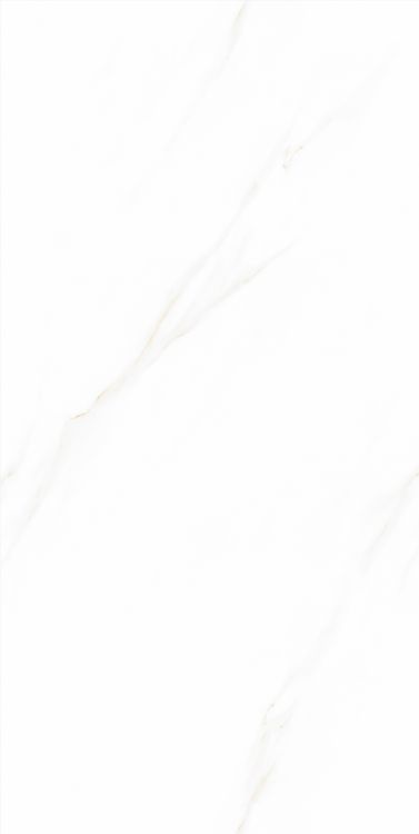 Time Cielo Polished 24 x 48